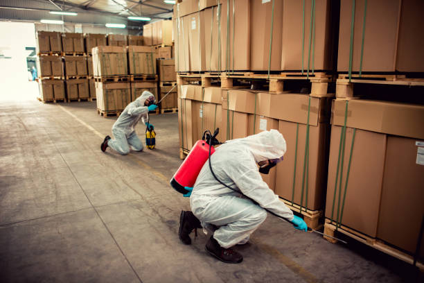 Best Pest Control Near Me  in East Niles, CA