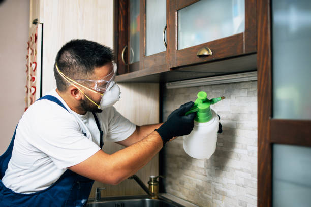Best Pest Control for Homes  in East Niles, CA