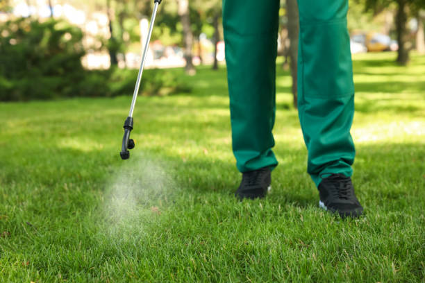 Best Wildlife Control Services  in East Niles, CA