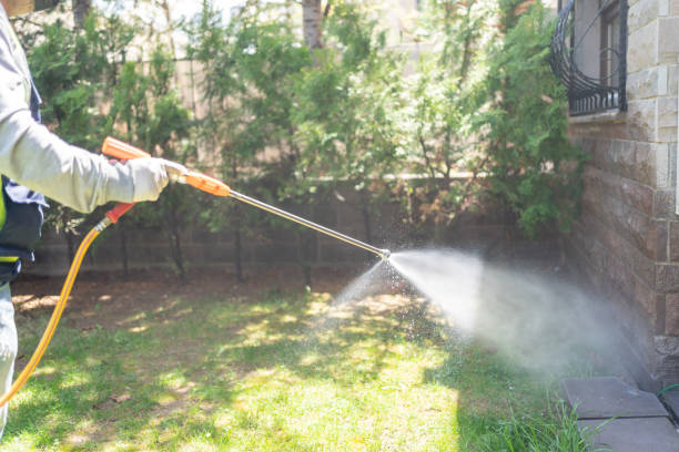 Best Rat Extermination Near Me  in East Niles, CA