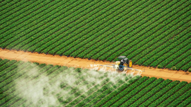 Best Pest Removal Services  in East Niles, CA