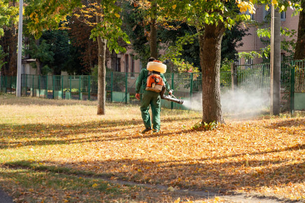Best Affordable Pest Control Services  in East Niles, CA