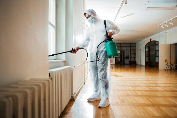Flea Control Services in East Niles, CA