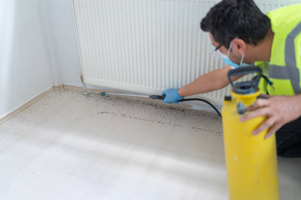 Best Emergency Pest Control  in East Niles, CA