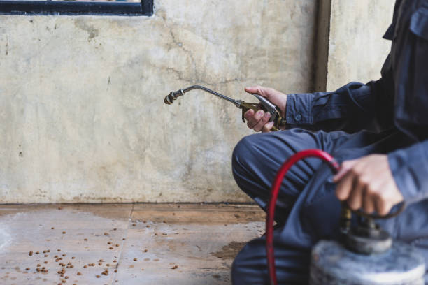 Best Affordable Pest Control Services  in East Niles, CA