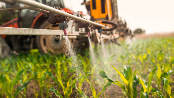 Best Mosquito Control Services  in East Niles, CA