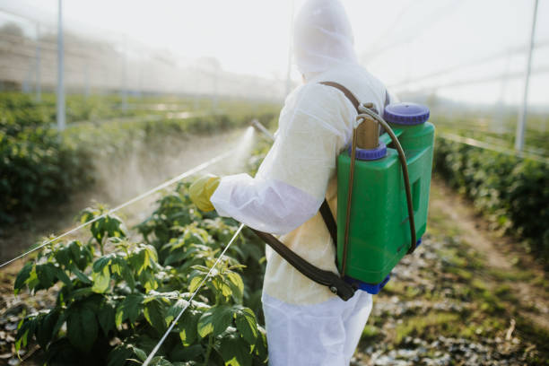 Best Pest Inspection Near Me  in East Niles, CA